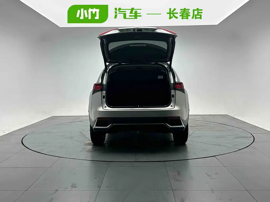 Lexus NX — миниатюра 5
