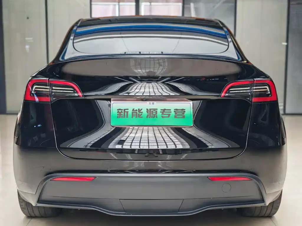 Tesla Model Y — миниатюра 4