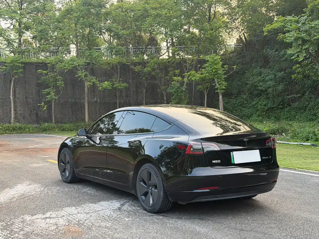 Tesla Model 3 — миниатюра 5