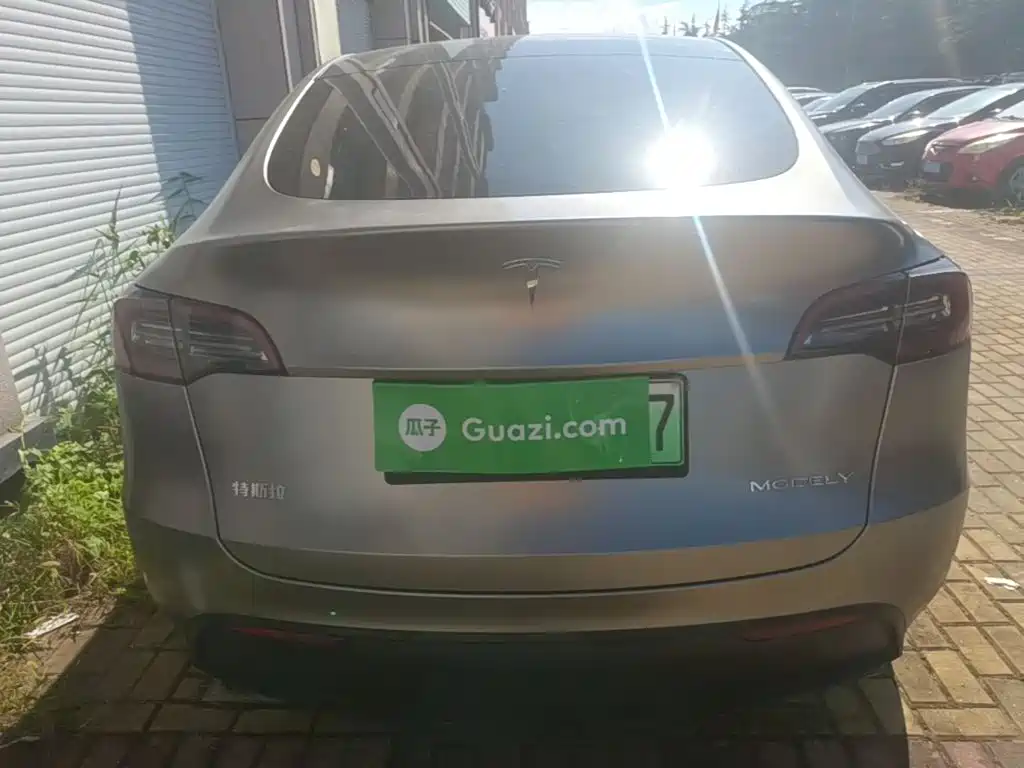Tesla Model Y — миниатюра 6