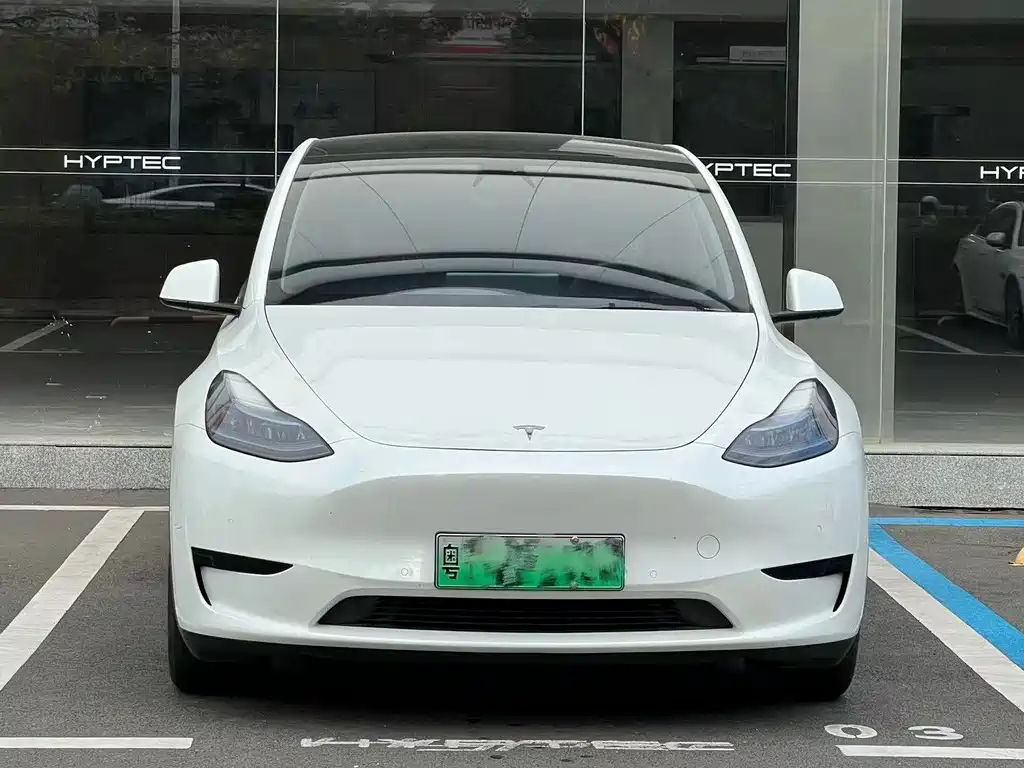Tesla Model Y — миниатюра 3