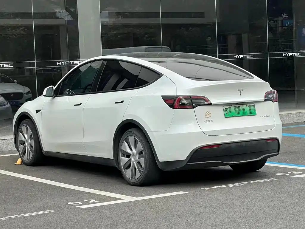 Tesla Model Y — миниатюра 5