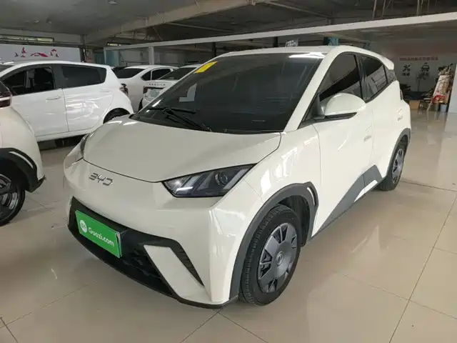 2024 BYD Seagull