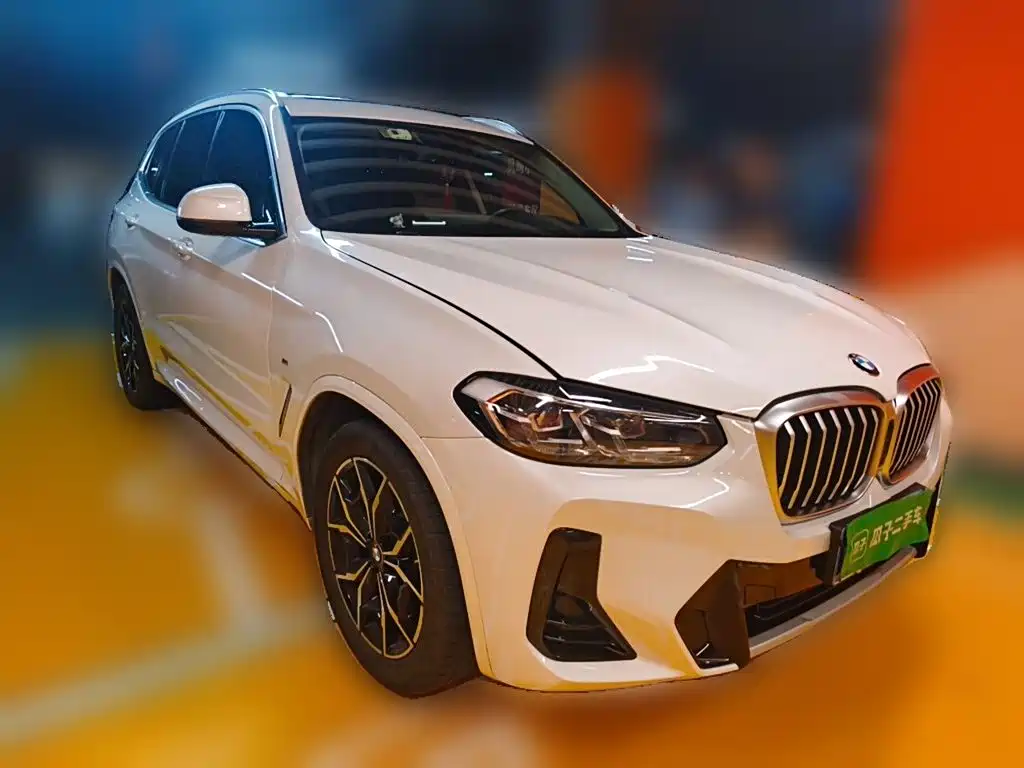 BMW X3 — миниатюра 24
