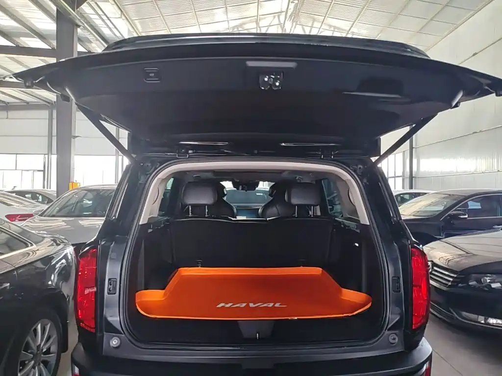 Haval Cool Dog — миниатюра 19