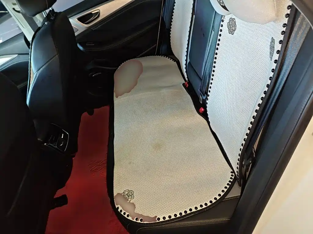 Roewe i6 MAX New Energy — миниатюра 17
