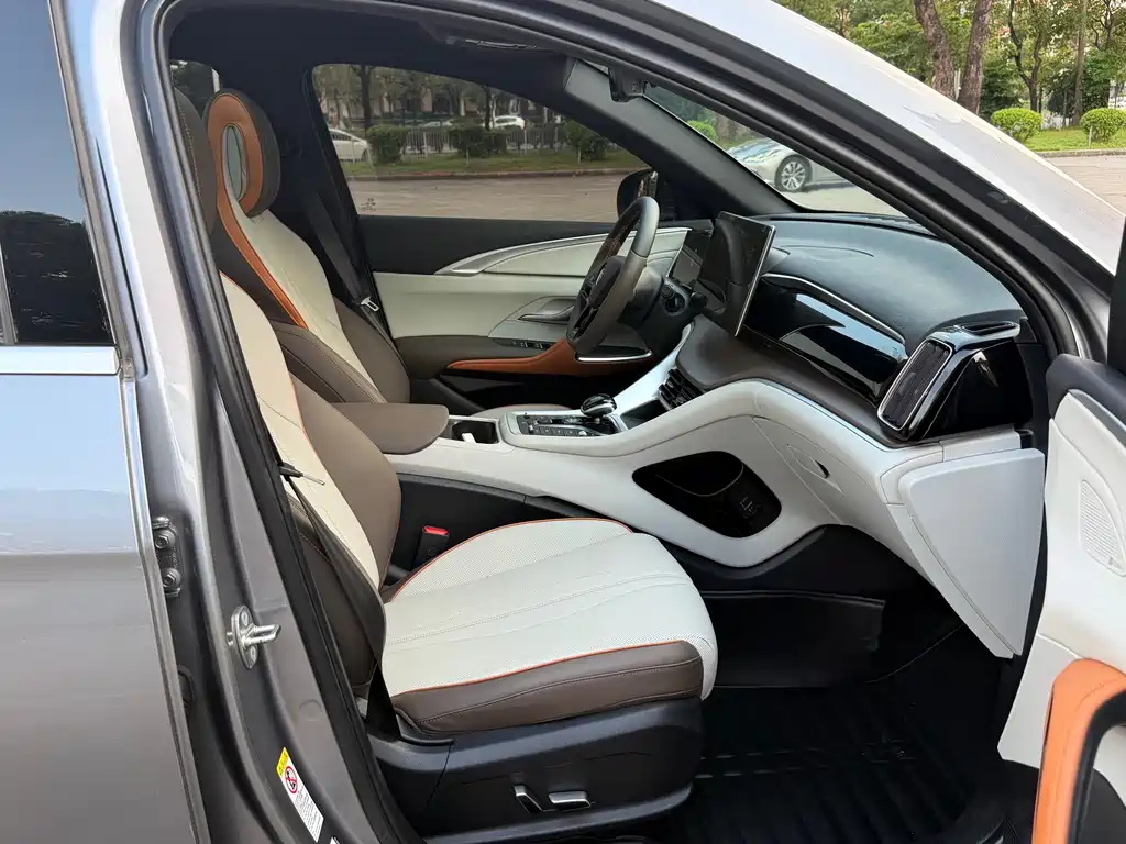 BYD Pro New Energy — миниатюра 11
