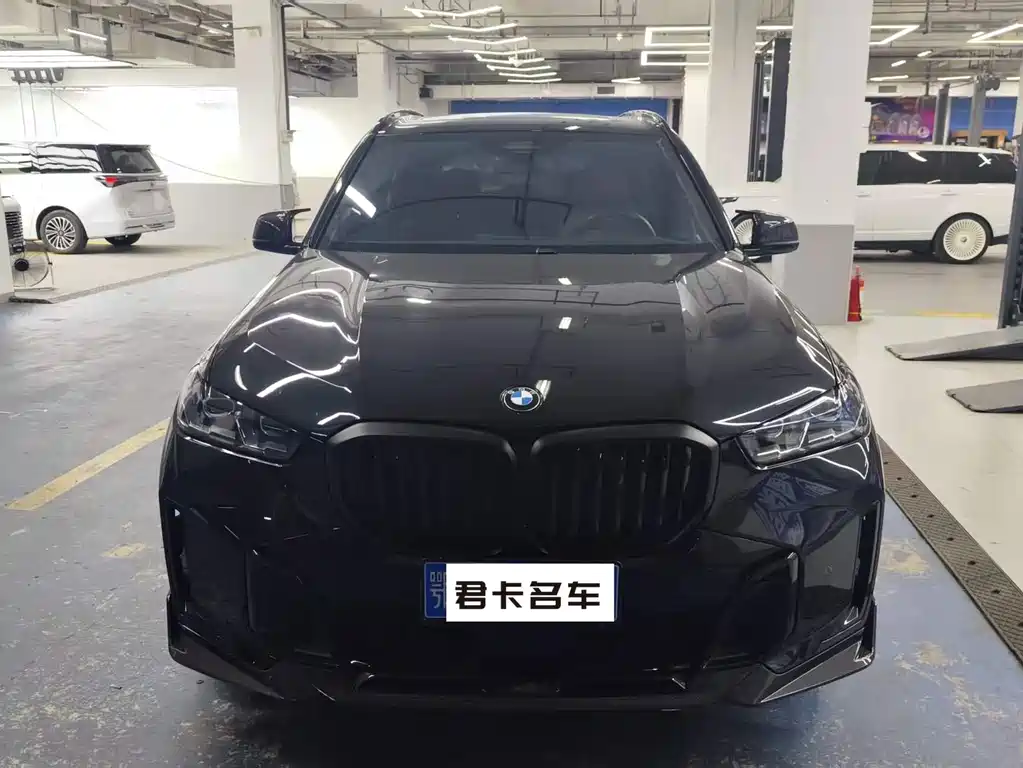 BMW X5 — миниатюра 3