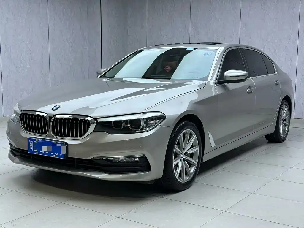 BMW 5 Series 2018 528Li Launch Special Edition