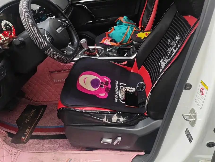 Haval F5 — миниатюра 9