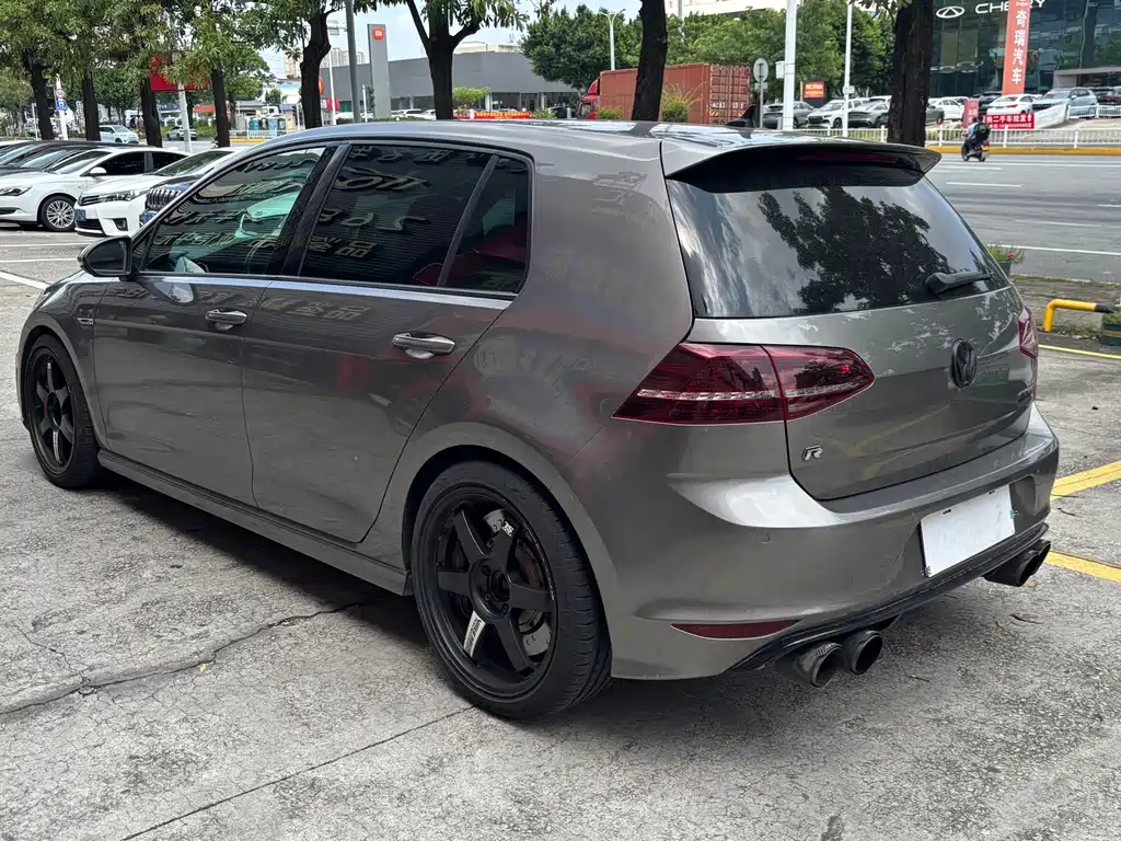 Volkswagen Golf (Import) — миниатюра 14
