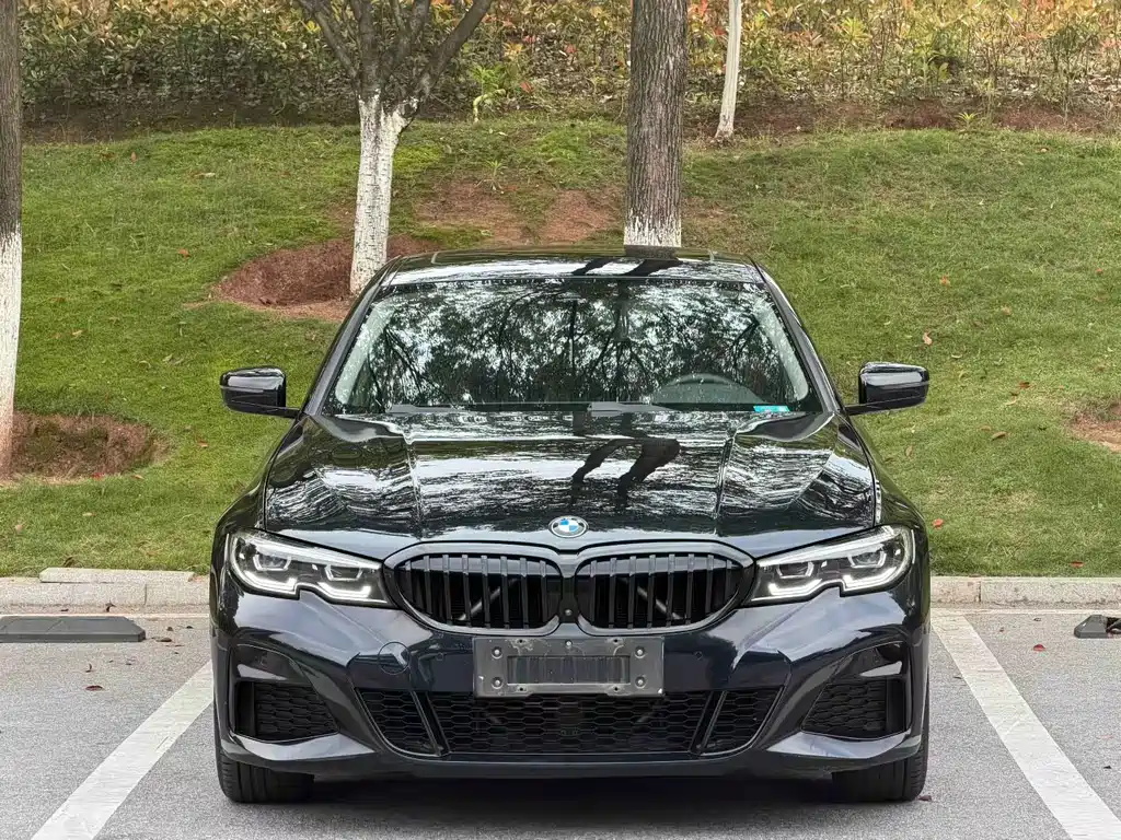 BMW 3 Series — миниатюра 2