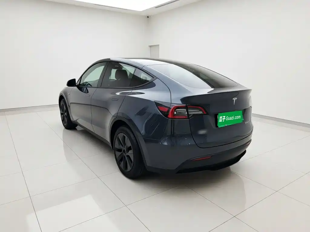 Tesla Model Y — миниатюра 4
