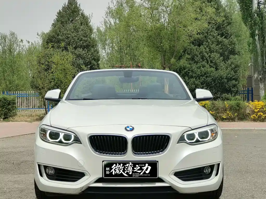 BMW 2 Series (Import) 218i Convertible Coupe, фото 2