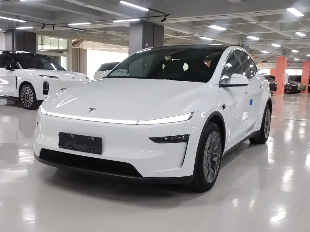 Tesla Model Y L