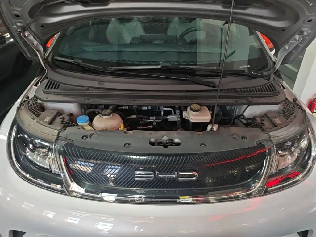 BYD Dolphin — миниатюра 25