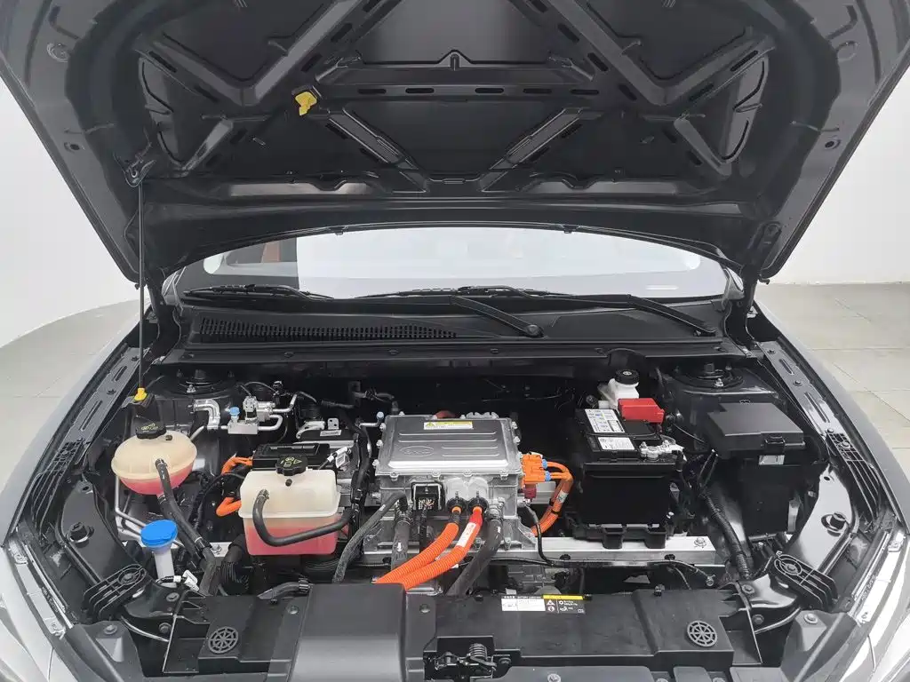 BYD e2 — миниатюра 6