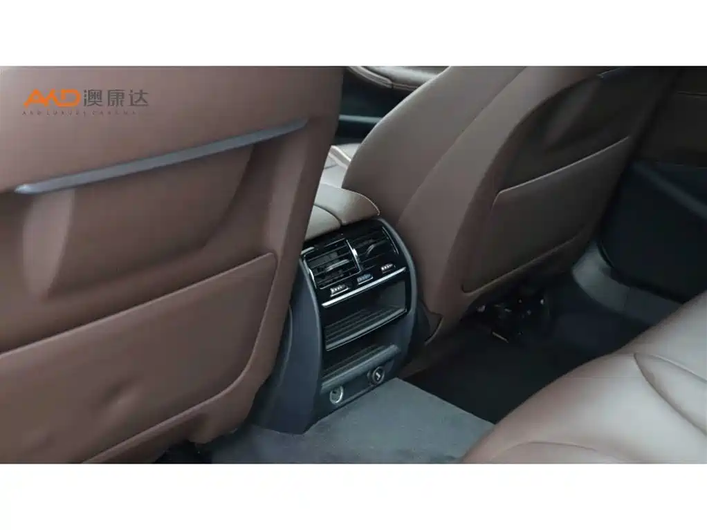 BMW 5 Series 5 2019 530Li Lead Luxury