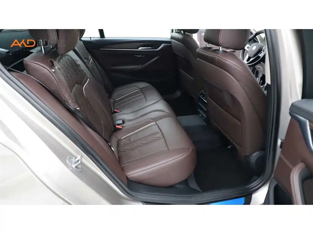BMW 5 Series 5 2019 530Li Lead Luxury