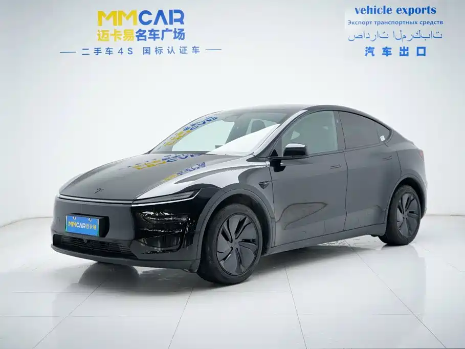 Tesla Model Y — миниатюра 2
