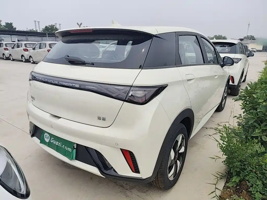 BYD Dolphin 2025 420km Freedom