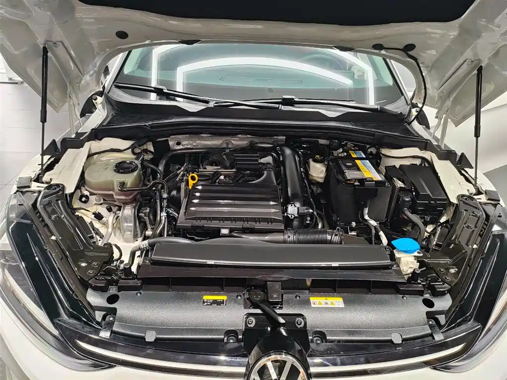 Volkswagen Lamando — миниатюра 8