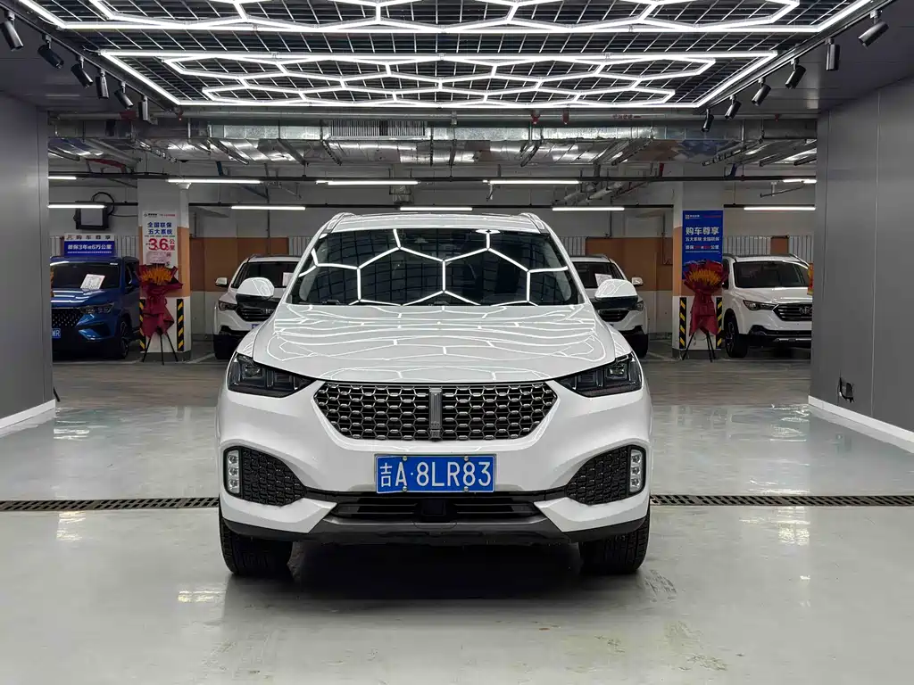 WEI PAI WEI BRAND VV6