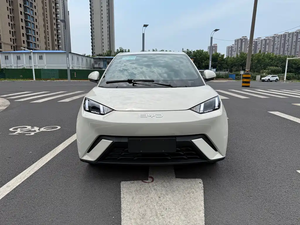 BYD Seagull 2025 305km Freedom