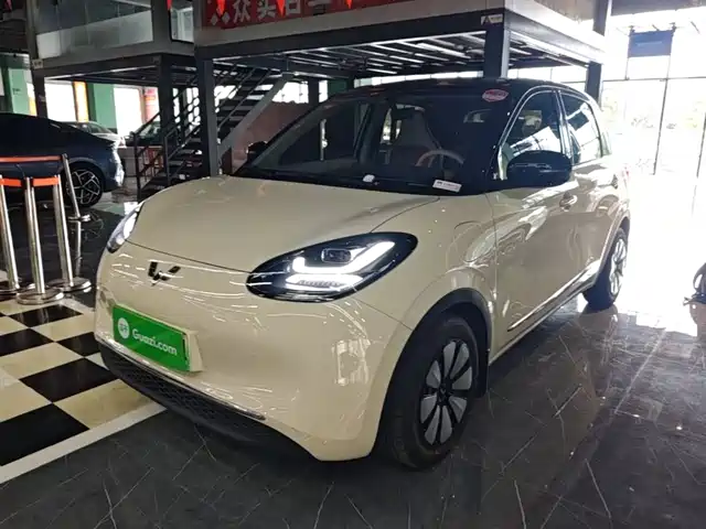 2025 Wuling Motors Binguo