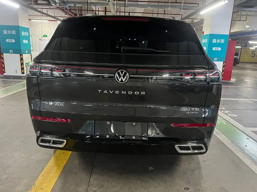 Volkswagen Tavendor — миниатюра 13