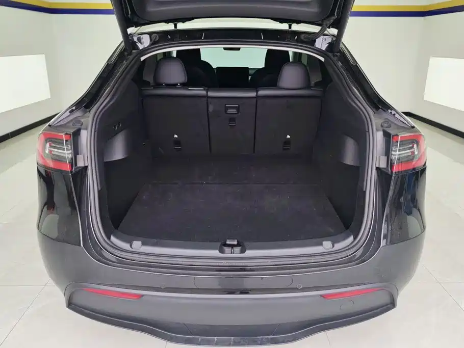 Tesla Model Y — миниатюра 4