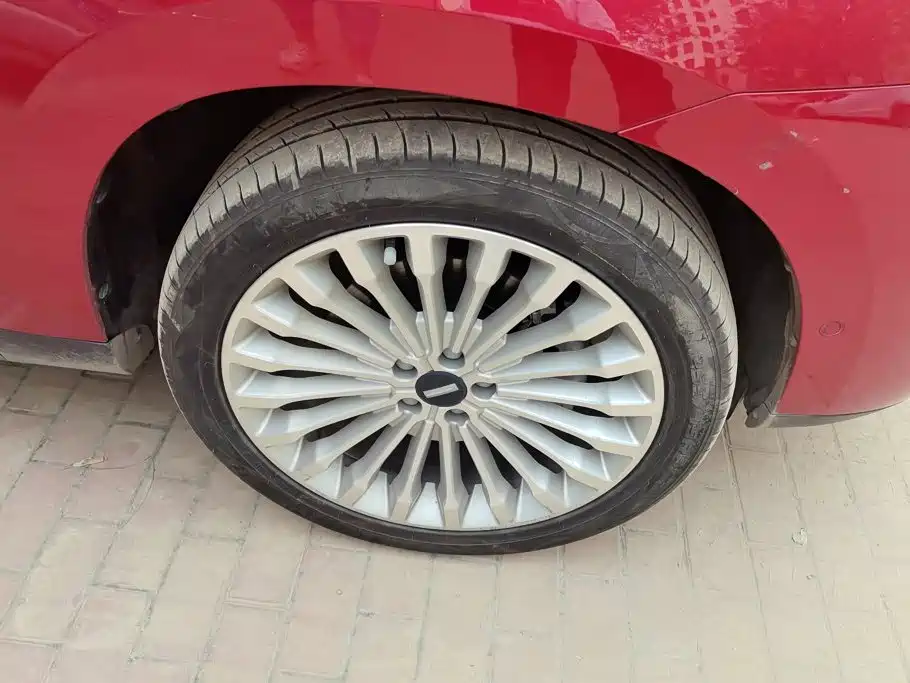 Wey Wey P8 — миниатюра 6