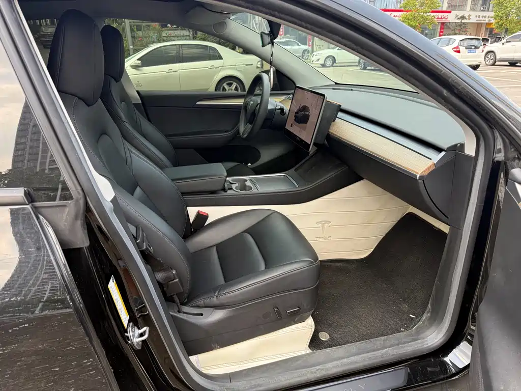 Tesla Model Y — миниатюра 7