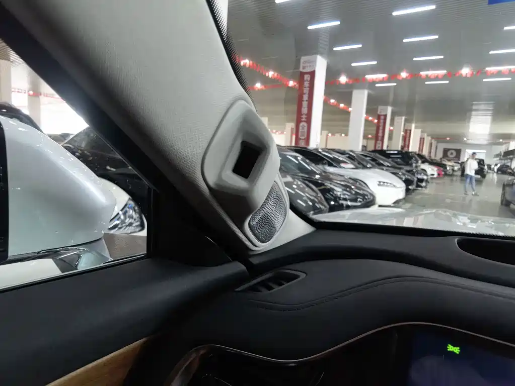 GAC Motor Trumpchi Xiangwang S9 — миниатюра 26