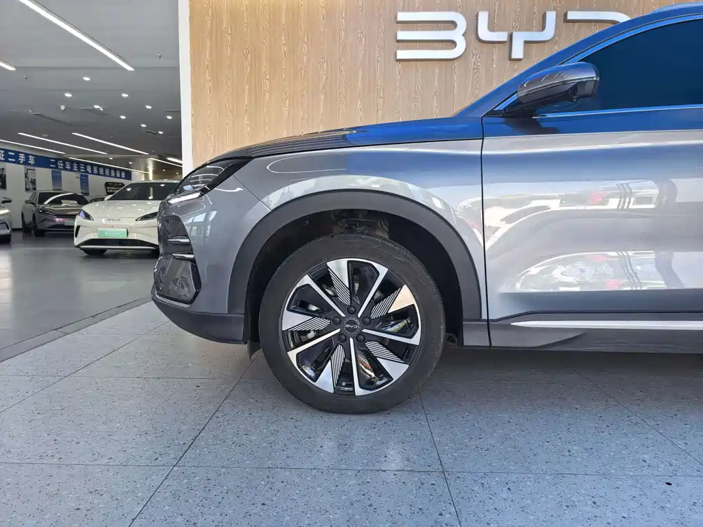BYD PLUS New Energy — миниатюра 4