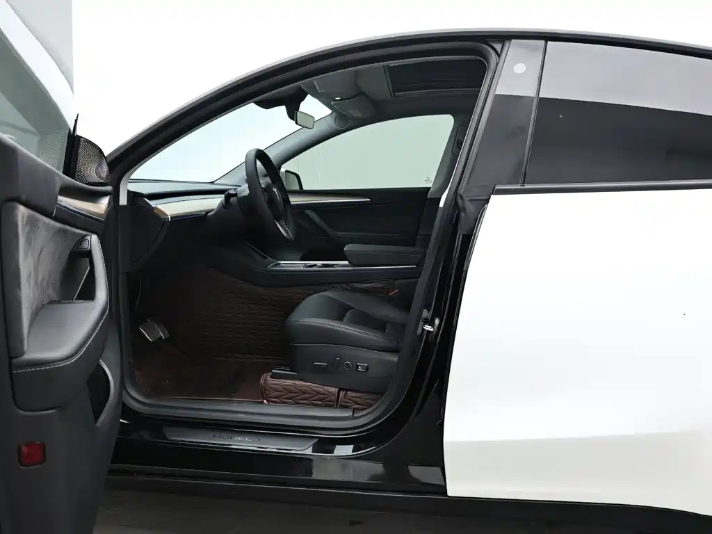 Tesla Model Y — миниатюра 10
