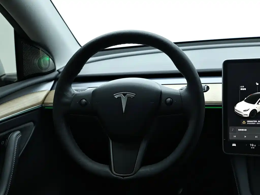 Tesla Model Y — миниатюра 16
