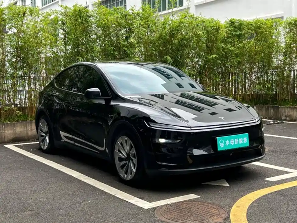 Tesla Model Y — миниатюра 10