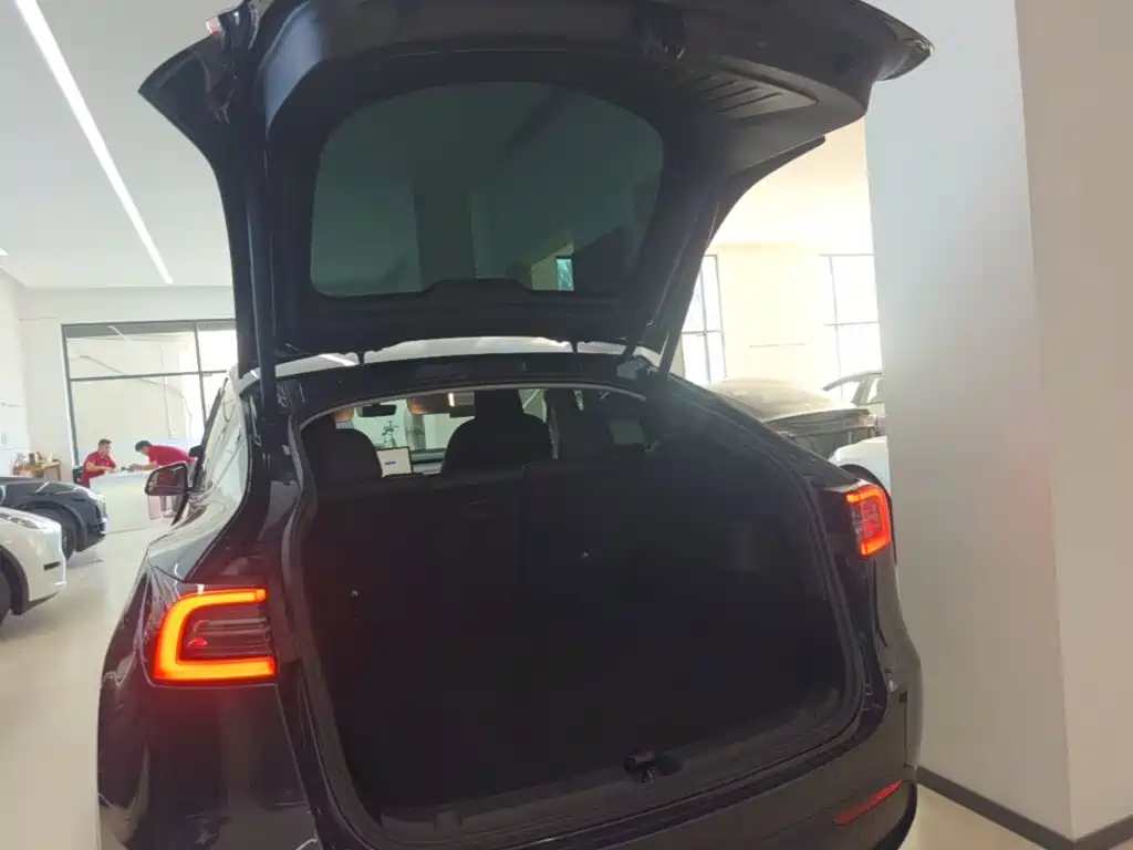 Tesla Model Y — миниатюра 19
