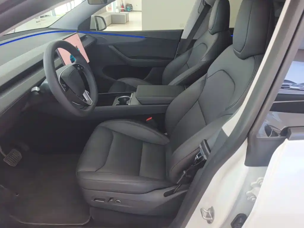 Tesla Model Y — миниатюра 15