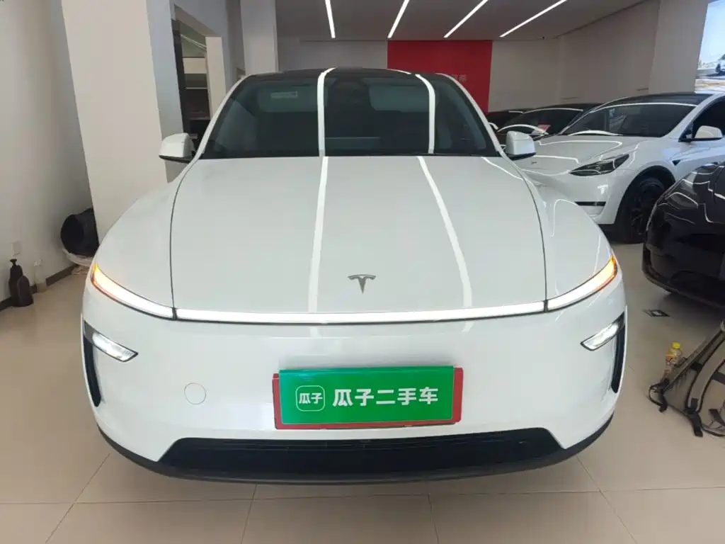 Tesla Model Y — миниатюра 3