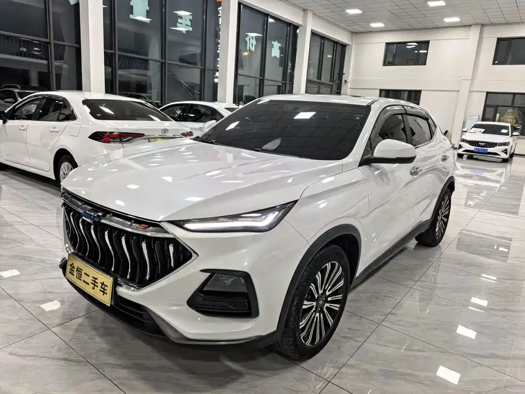 Oshan Oushang X5