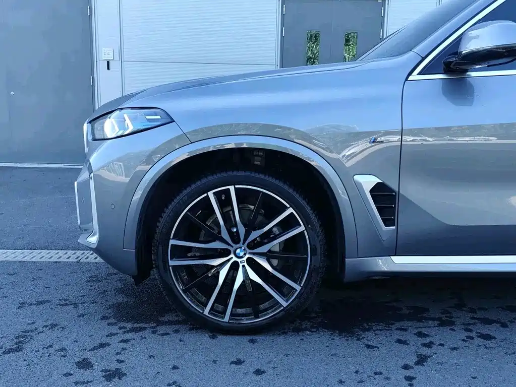 BMW X5 — миниатюра 6