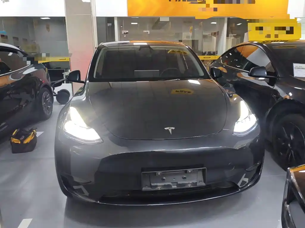 Tesla Model Y — миниатюра 3