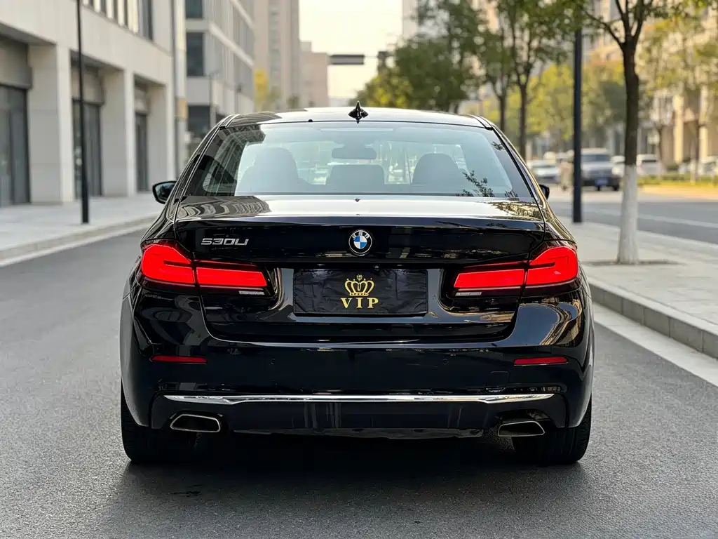 BMW 5 Series — миниатюра 8