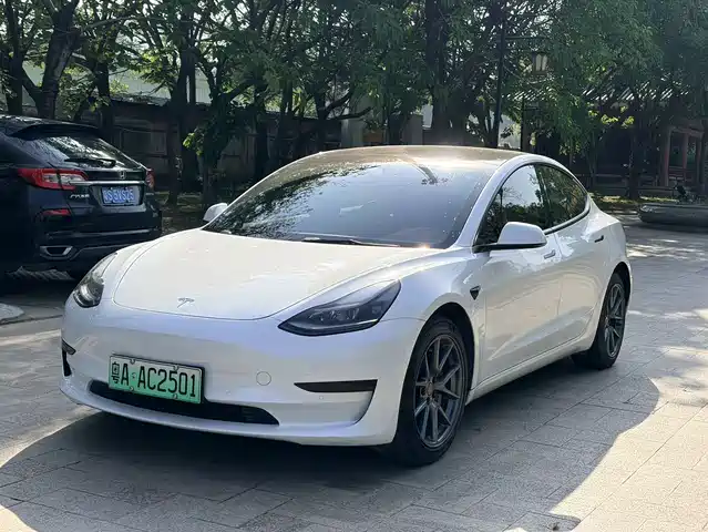TESLA MODEL 3 2022