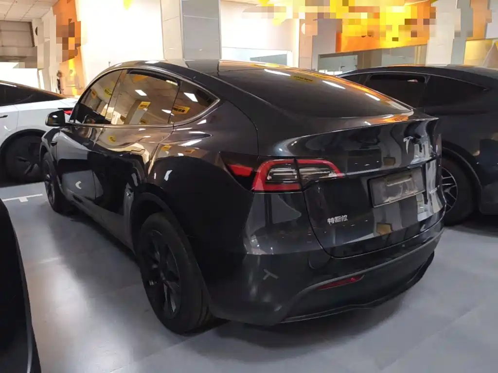 Tesla Model Y — миниатюра 5