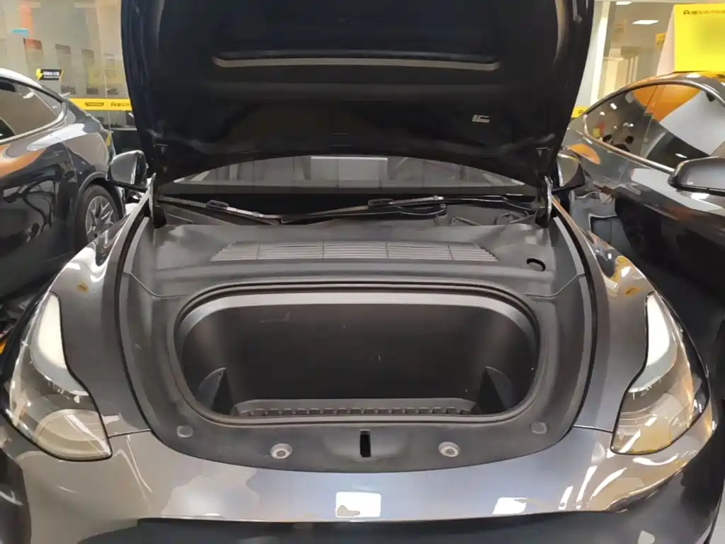 Tesla Model Y — миниатюра 20