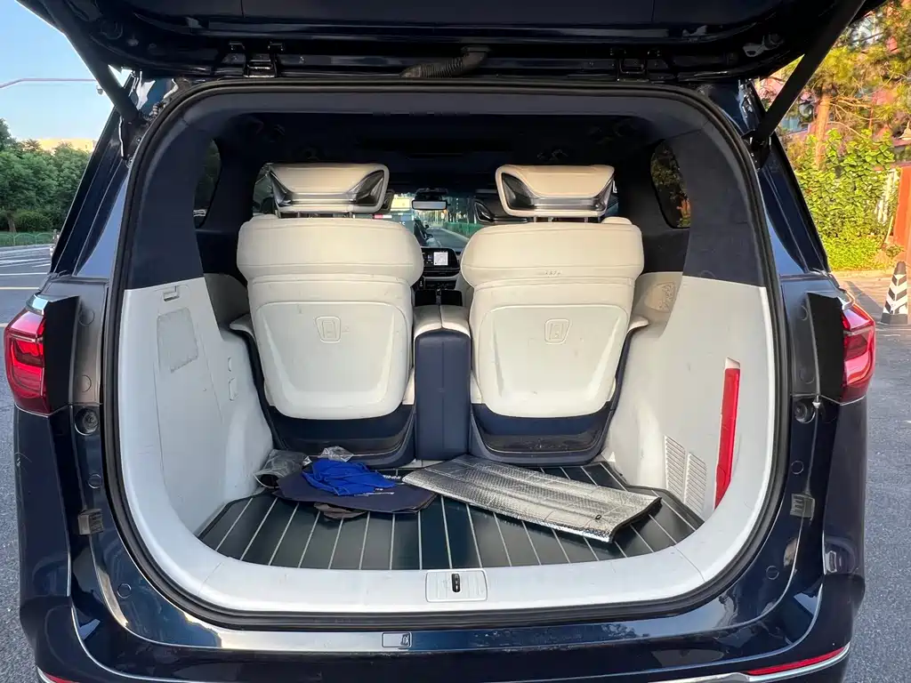Buick GL8 — миниатюра 15