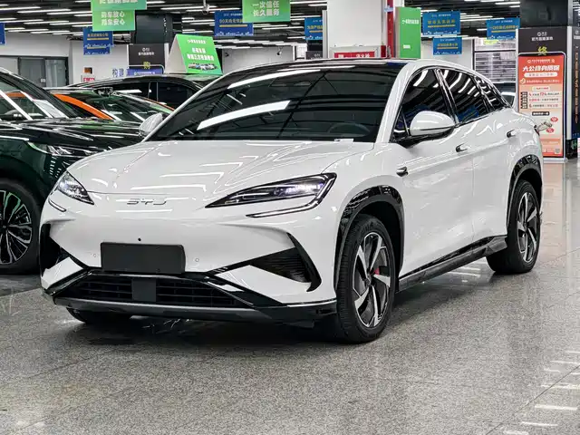 2024 BYD Sea Lion